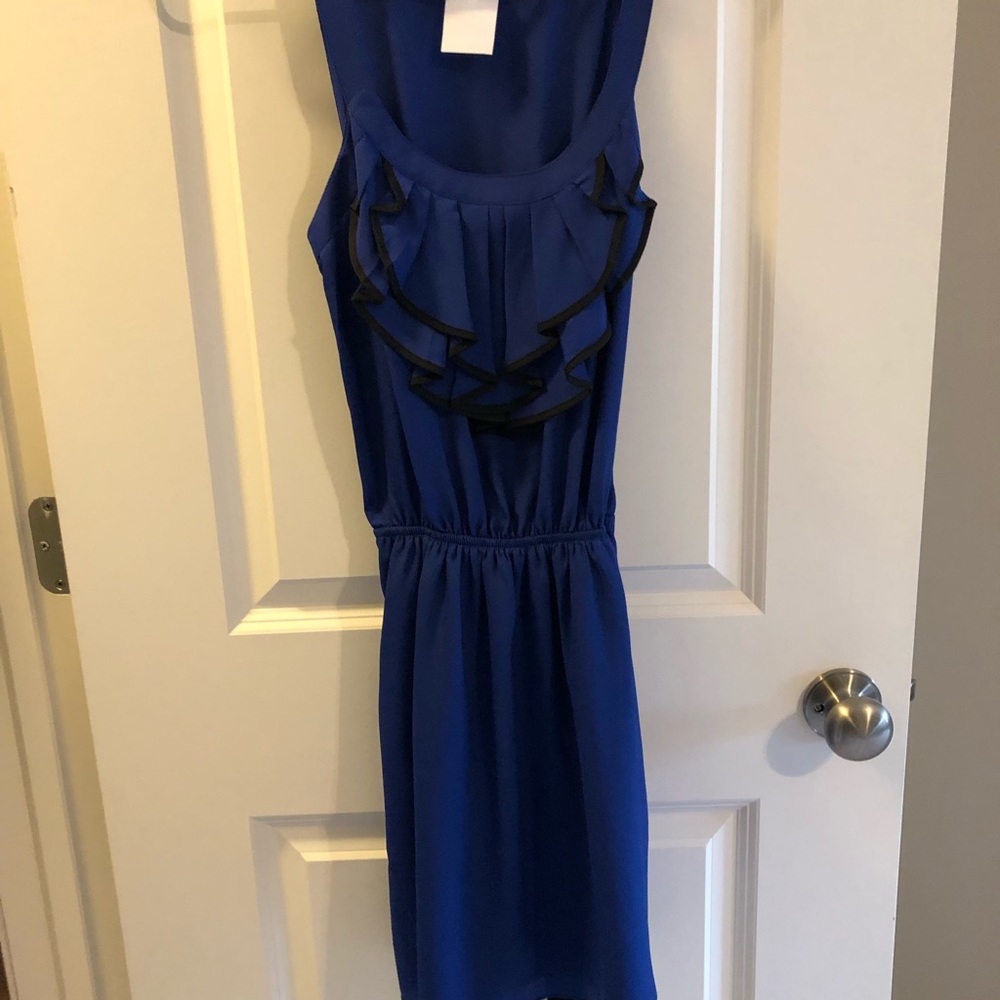Express Dress - Picture 3 of 4